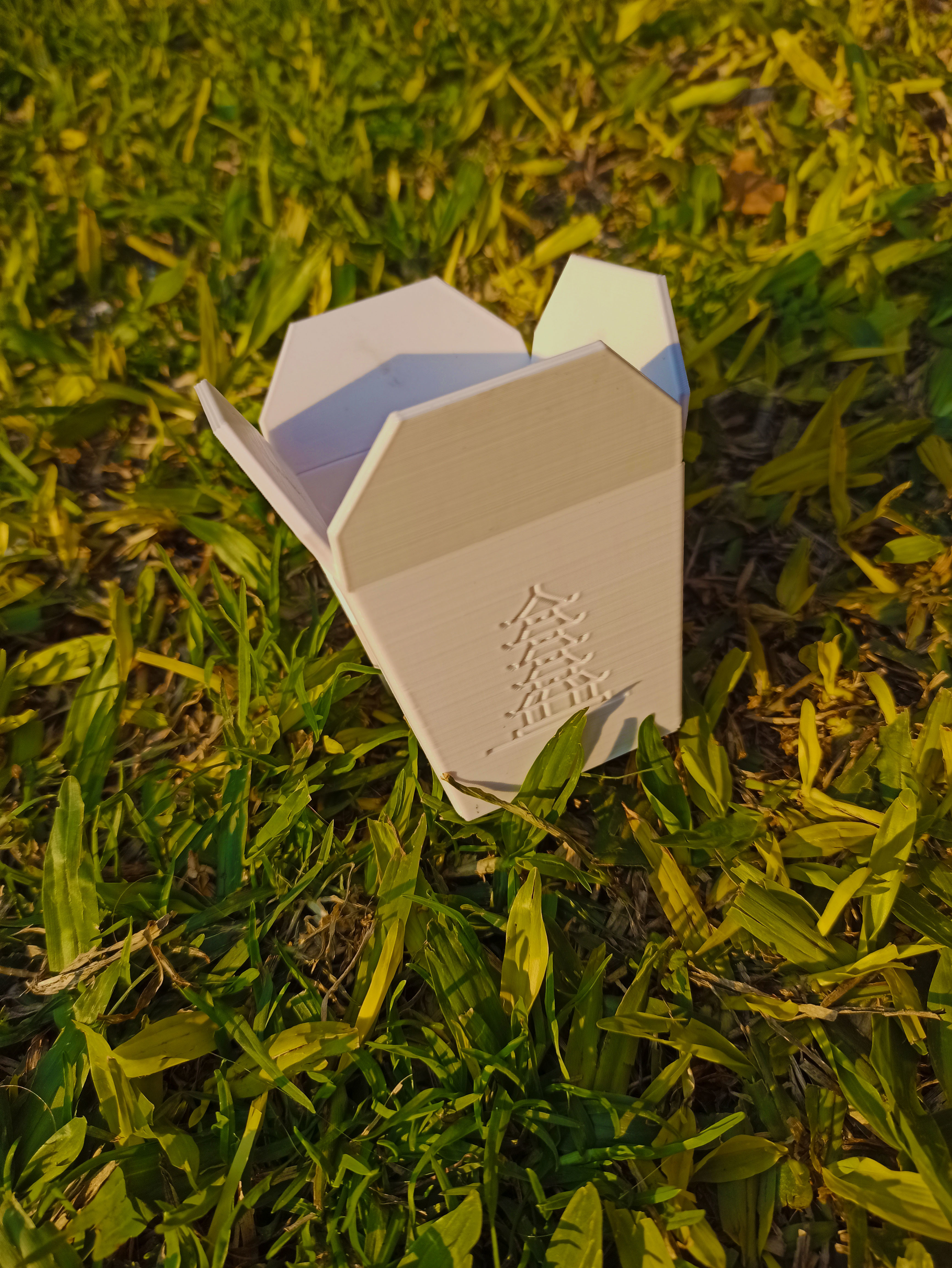 3D file Chinese takeout box, succulent PLANTER・3D printable model to download・Cults